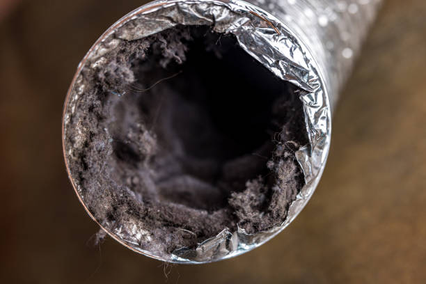 Best HVAC Duct Inspection Services  in Orange Blossom, CA